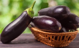 Is aubergine mogelijk voor gastritis: argumenten voor en tegen, acceptabele manieren van gebruik