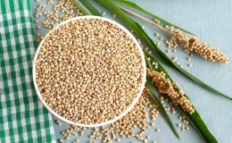 Wat is graansorghum, kenmerken van het gebruik en de teelt