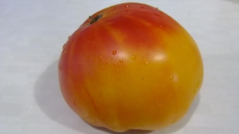 Ein Liebling der Bauern unter den Tomaten: Tomato Bull's Heart, Eigenschaften und Beschreibung der Sorte