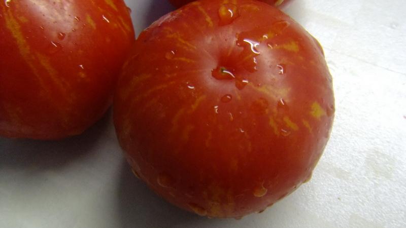 Welche niedrig wachsenden Tomatensorten sind am produktivsten?