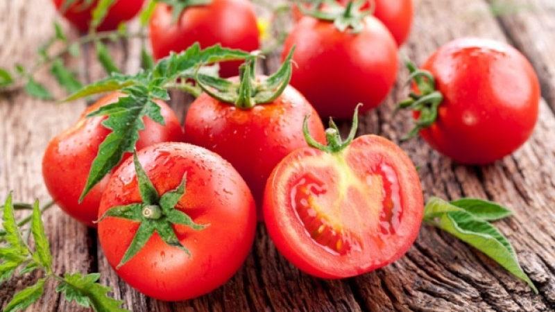 Krankheitsresistent und pflegeleicht Ginas Tomate - Ein praktischer Leitfaden für das Wachstum