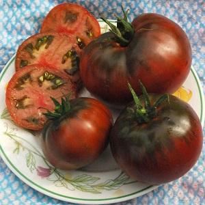 Merkmale des Anbaus und der Pflege von schwarzen Bison-Tomaten