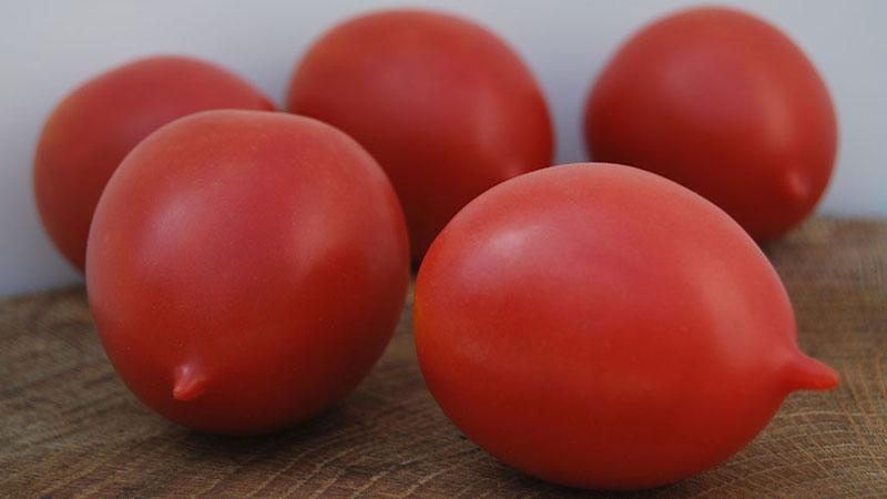 Eine ganze Palette im Garten in einer Sorte - De Barao Tomate und die Geheimnisse ihres Anbaus