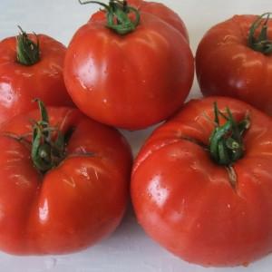 Warum sind Minusinsk-Tomaten wertvoll?