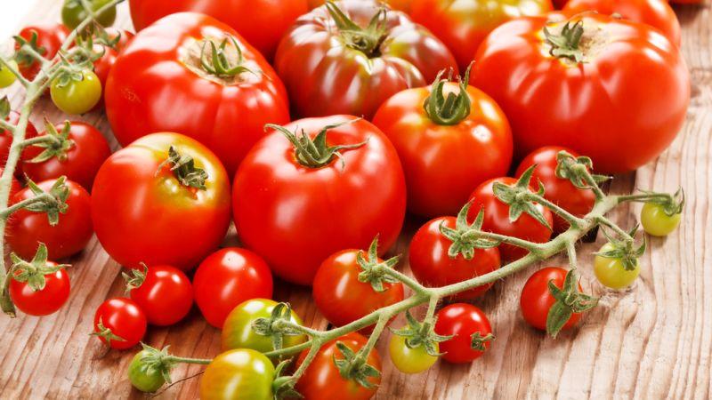 Warum Tomaten schädlich und nützlich für den Menschen sind