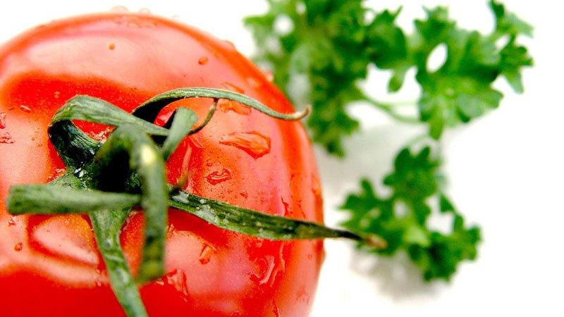 Was tun, wenn Raupen in Tomaten gezüchtet werden - beliebte Methoden zur Bekämpfung eines Schädlings