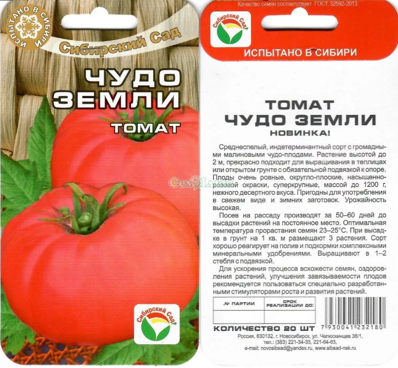 Top 25 der süßesten Tomatensorten und Tipps für die Auswahl für jeden Gärtner