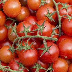 Rotkäppchen-Tomaten bei Sommerbewohnern beliebt: Beschreibung der Sorte und Anleitung für den selbständigen Anbau