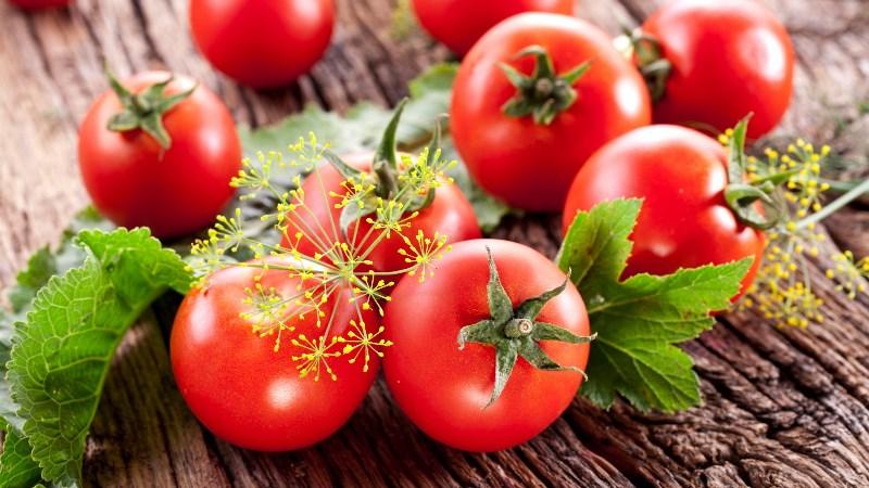 Die besten Rezepte für die Ernte brauner Tomaten für den Winter