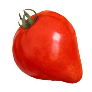 Viele streiten sich darüber, ob eine Tomate eine Beere oder ein Gemüse ist: Lassen Sie es uns gemeinsam herausfinden und unterschiedliche Sichtweisen betrachten