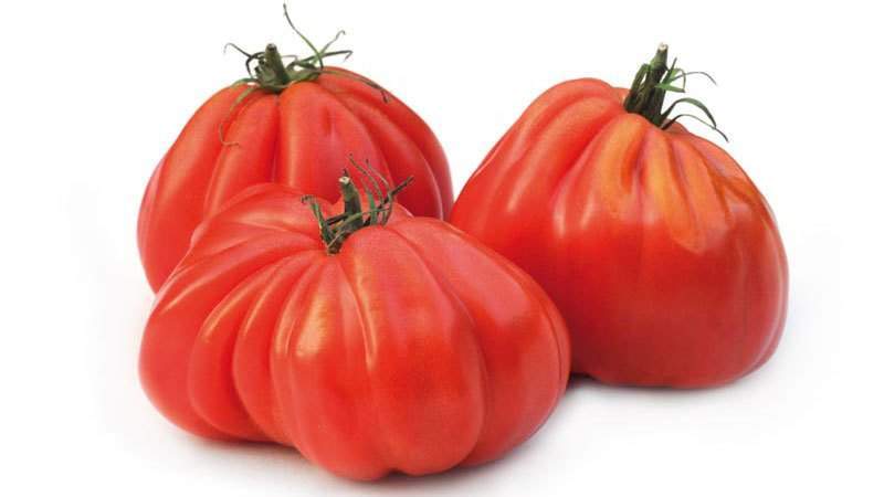 Top besten Sorten von rosa Tomaten