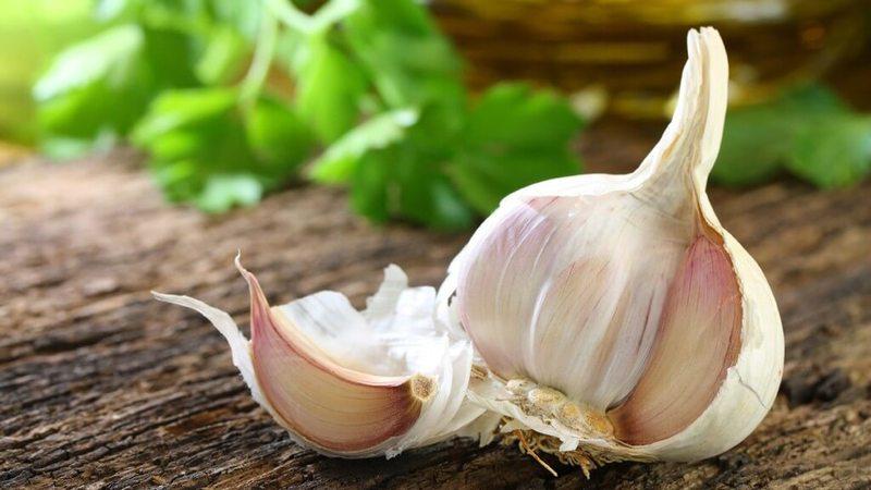 Wie, wann und wie man Knoblauch nach dem Winter füttert - Ratschläge von erfahrenen Gärtnern, um eine reiche Ernte zu erzielen