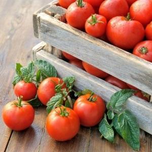 Eine universelle Tomatensorte für Salate, Beizen und Trocknen - Metelitsa-Tomate