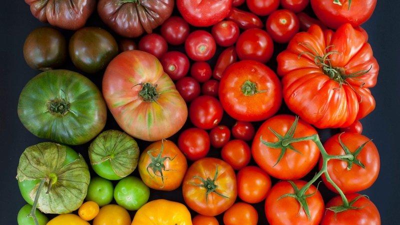 So kochen Sie sonnengetrocknete Tomaten zu Hause: verschiedene Arten und die leckersten Rezepte