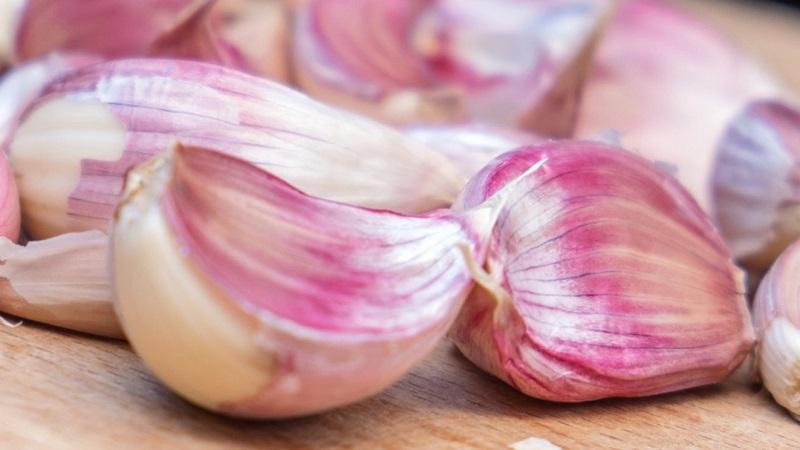 Wenn Sie wissen möchten, wie man großen Knoblauch in Ihrem Garten anbaut, befolgen Sie die hilfreichen Tipps erfahrener Sommerbewohner