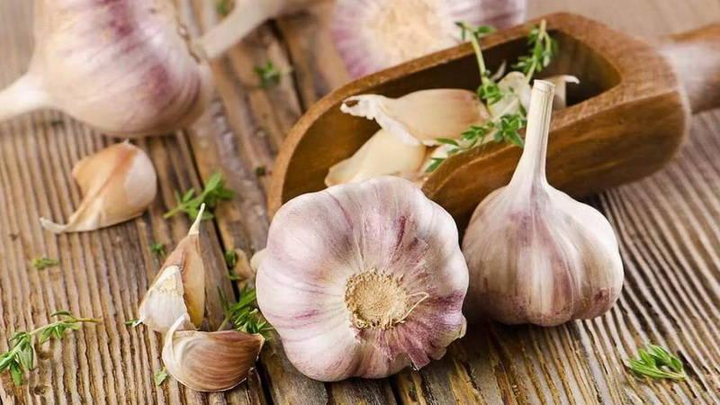 Schritt-für-Schritt-Anleitung zum Anbau von Knoblauch im Freien für Anfänger: Schritte und Tipps von erfahrenen Landwirten