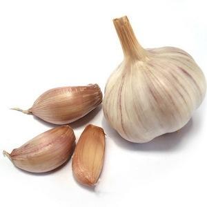 Was sind die Vorteile von Knoblauch und wie man ihn richtig verwendet, um Ihre Gesundheit nicht zu schädigen