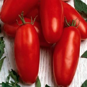 Ungewöhnliche Frucht mit dem ursprünglichen Namen: Tomaten-Bananen-Rot - wofür ist es gut und wie kann man es selbst anbauen?