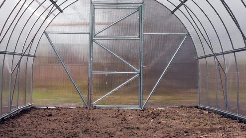 In einem Gewächshaus aus Polycarbonat bauen wir eine Rekordernte an Tomaten an: Pflanzen und Pflege, Ratschläge von Agronomen