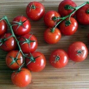 Miniaturbüsche mit Tomatenkrümeln - Gartendekoration: Tomatenkaramell und Tipps zum Anbau