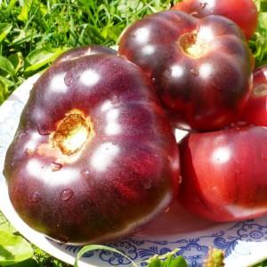 Eine Neuheit von Züchtern, die es geschafft haben, sich in Gärtner zu verlieben - Tomatenschokoladenwunder: Bewertungen und Fotos der Ernte