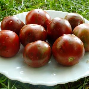 Eine Neuheit von Züchtern, die es geschafft haben, sich in Gärtner zu verlieben - Tomatenschokoladenwunder: Bewertungen und Fotos der Ernte