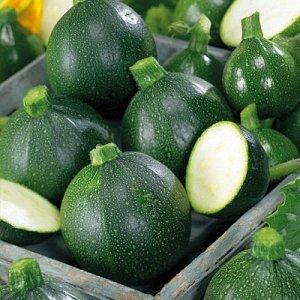 Vor- und Nachteile von runden Zucchini, die jeder Sommerbewohner kennen sollte