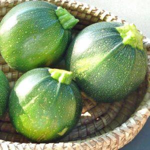 Vor- und Nachteile von runden Zucchini, die jeder Sommerbewohner kennen sollte