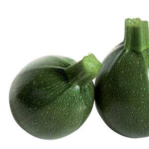 Vor- und Nachteile von runden Zucchini, die jeder Sommerbewohner kennen sollte