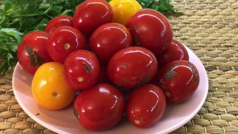 Die besten Express-Rezepte, wie man Tomaten schnell und lecker in eine Tüte einlegt: Zutaten, Anweisungen und Tipps von Hausfrauen