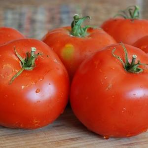 Ideal für Gewächshäuser, früh reife und ertragreiche Tomaten Blagovest: wie man sie richtig anbaut