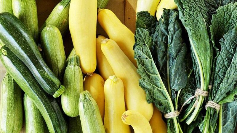 Was ist der Unterschied zwischen Zucchini und Zucchini in Aussehen, Geschmack und anderen Eigenschaften: Wir verstehen im Detail und verwirren nicht mehr