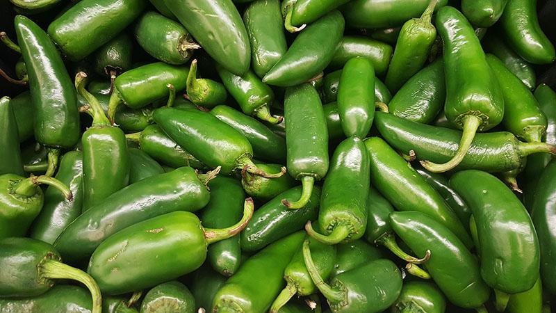 Was ist Jalapeno-Pfeffer, wie wird er angebaut und verwendet?