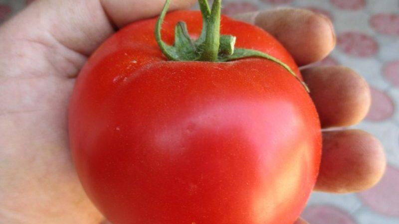 Detaillierte Beschreibung der Tomaten Linda F1 - Merkmale von Früchten und Samen