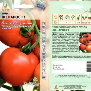 Stabile und unprätentiöse Pflege, hartnäckige Tomate Zhenaros - ein Geschenk niederländischer Züchter