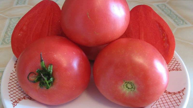 Eine früh reife Hybridsorte von sibirischen Züchtern - Tomatenobst und Bewertungen von Sommerbewohnern über diese Tomaten