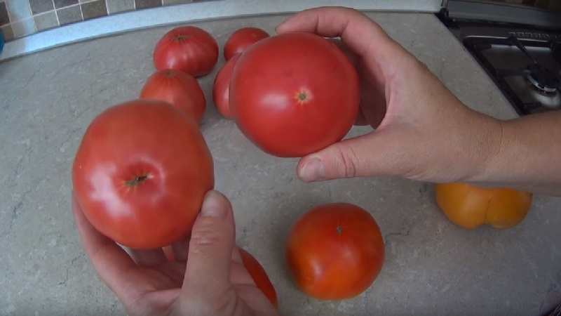 Wie man zu Hause Tomatensamen zubereitet und daraus eine Winterernte macht - Ratschläge von erfahrenen Gärtnern