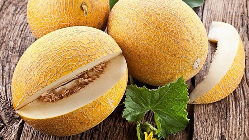 Melone ist eine Beere, Obst oder Gemüse