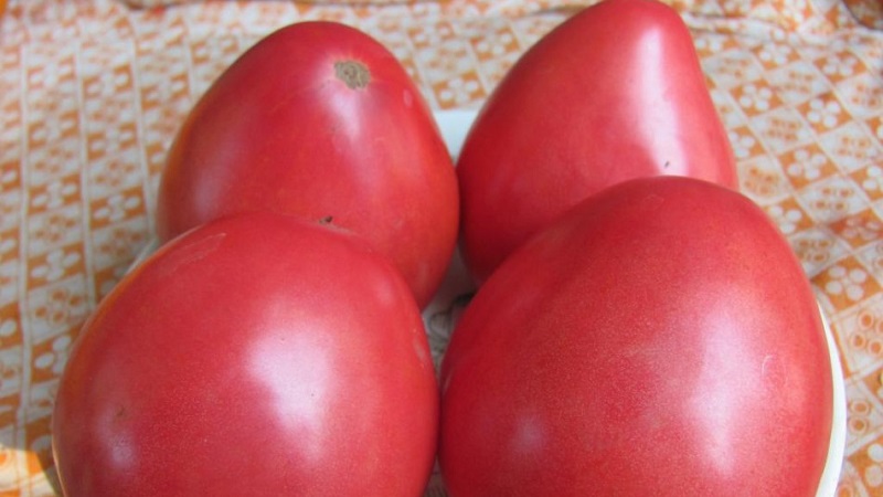 Wie man eine Tomate Pudovik für mehr Produktivität anbaut