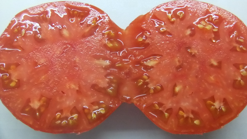 Wie man zu Hause Tomatensamen zubereitet und daraus eine Winterernte macht - Ratschläge von erfahrenen Gärtnern