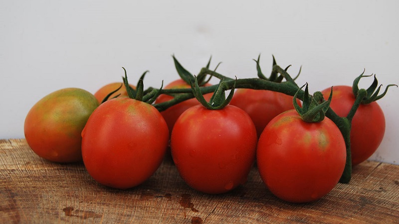 Ungewöhnliche Tomatencreme und wie man sie pflegt