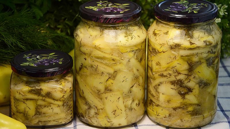 DIY original Winter Snacks: wie man Zucchini salzt - 12 köstlichsten Rezepte