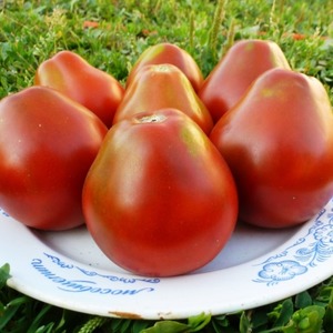 Birnenförmige Sorte mit süßem Geschmack und erstaunlichem Aroma - Tomate Ivan Kupala