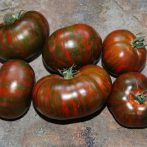 Eine Sorte mit ungewöhnlicher Farbe, einzigartigem Geschmack und appetitlichem Namen - Tomate Striped Chocolate