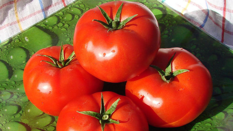 Unprätentiös, vielseitig einsetzbar, früh reife Tomate Druzhok f1: Bewertungen und Geheimnisse des Wachstums