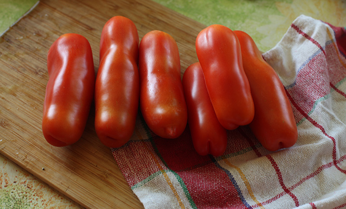 Was Sie mit einer ungewöhnlich aussehenden Tomate Zhigalo angenehm überraschen wird: Bewertungen, Fotos und Beschreibung der Agrartechnologie