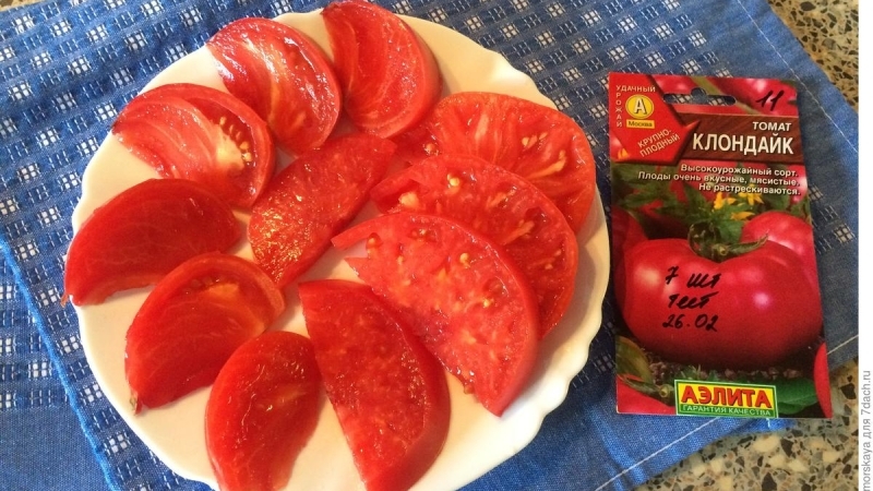 Beta-Carotin-Champion: Empfohlene Diät Klondike Tomate