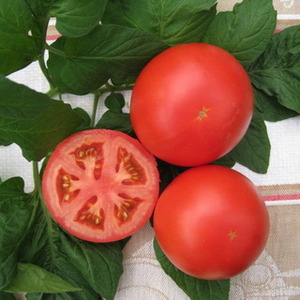 Hochertragreiche Hybridtomate Alhambra, angenehm mit großen saftigen Früchten und resistent gegen Krankheiten