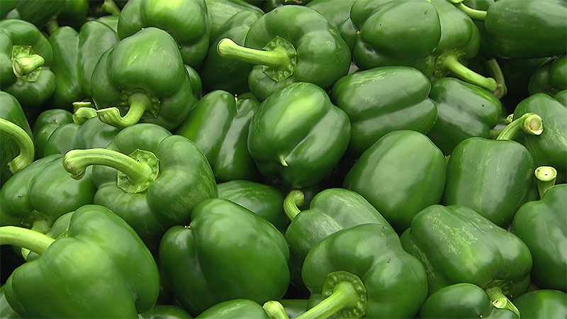 Die Vor- und Nachteile von grünem Paprika für die Gesundheit von Frauen, Männern und Kindern