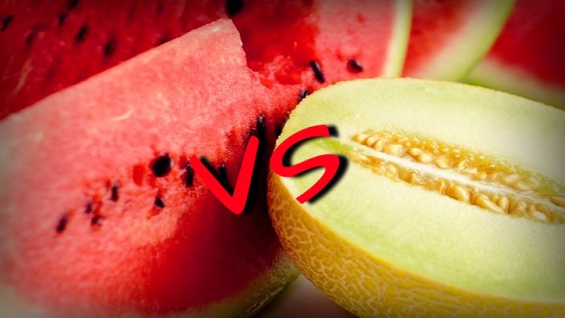 Was ist gesünder - Wassermelone oder Melone: ​​Vergleich von Zusammensetzungen und Eigenschaften